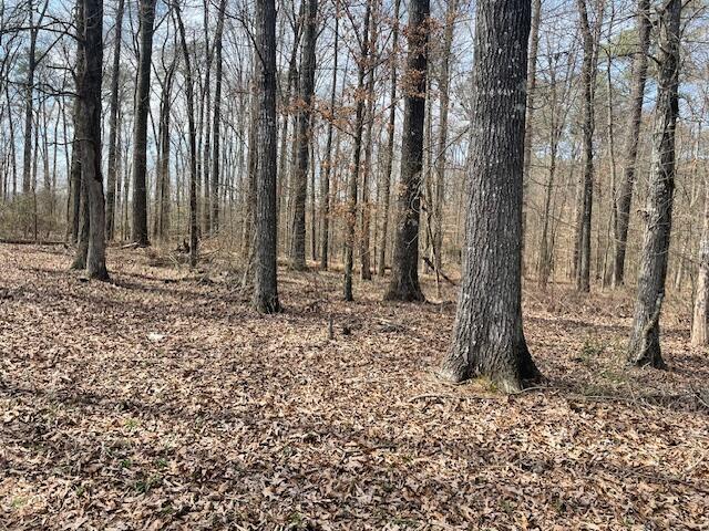 0 Southeast Johnson Road Cleveland, TN 37323 - Photo 19 of 23 room to build and play