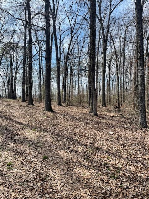 0 Southeast Johnson Road Cleveland, TN 37323 - Photo 20 of 23 Come take a look!