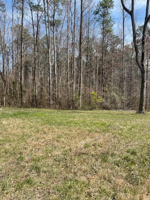 0 Southeast Johnson Road Cleveland, TN 37323 - Photo 21 of 23 Ready for you!