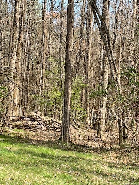 0 Southeast Johnson Road Cleveland, TN 37323 - Photo 23 of 23 beautiful land