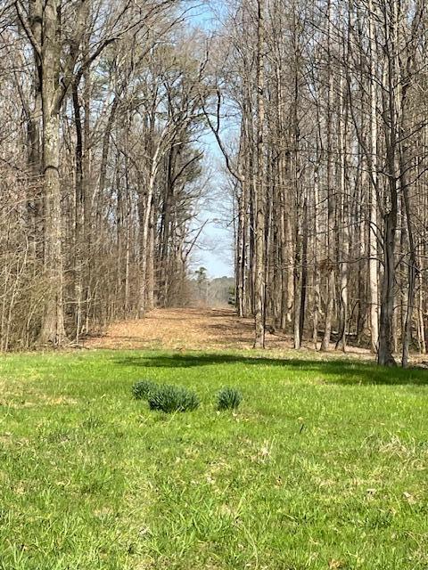 0 Southeast Johnson Road Cleveland, TN 37323 - Photo 3 of 23 Drive back to seclusion!
