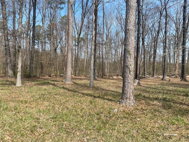 0 Southeast Johnson Road Cleveland, TN 37323 - Photo 4 of 23 Partially cleared