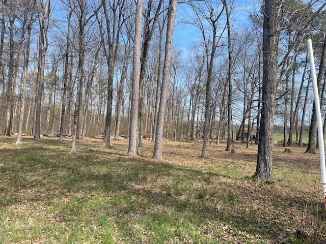 0 Southeast Johnson Road Cleveland, TN 37323 - Photo 5 of 23 Level land