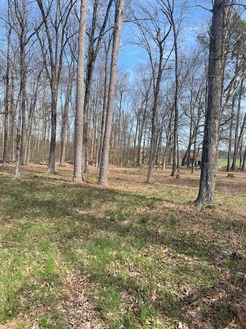 0 Southeast Johnson Road Cleveland, TN 37323 - Photo 6 of 23 partially cleared