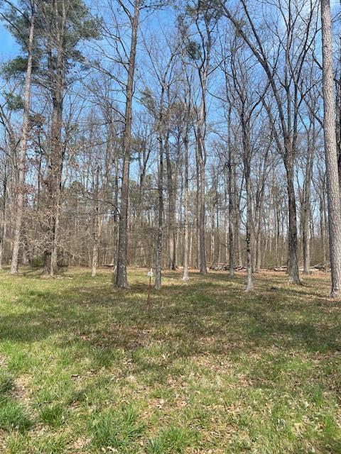 0 Southeast Johnson Road Cleveland, TN 37323 - Photo 7 of 23 partially cleared