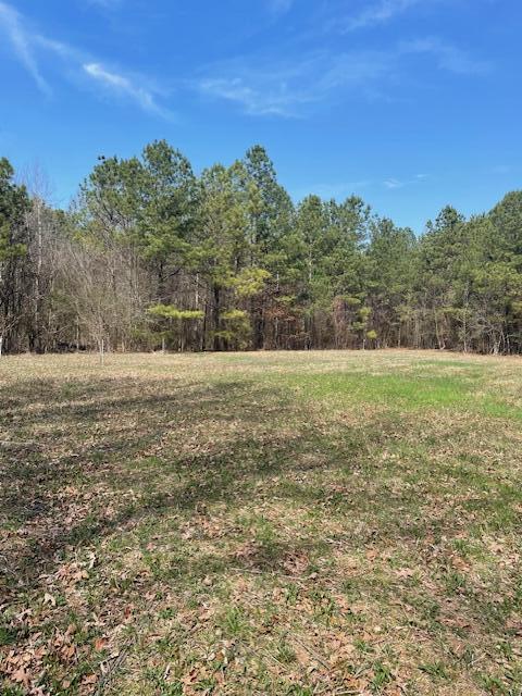 0 Southeast Johnson Road Cleveland, TN 37323 - Photo 8 of 23 beautiful and private