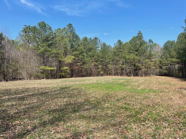 0 Southeast Johnson Road Cleveland, TN 37323 - Photo 9 of 23 Perfect for your new home!
