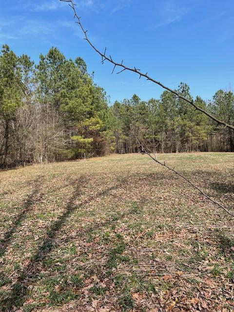 0 Southeast Johnson Road Cleveland, TN 37323 - Photo 10 of 23 Cleared area