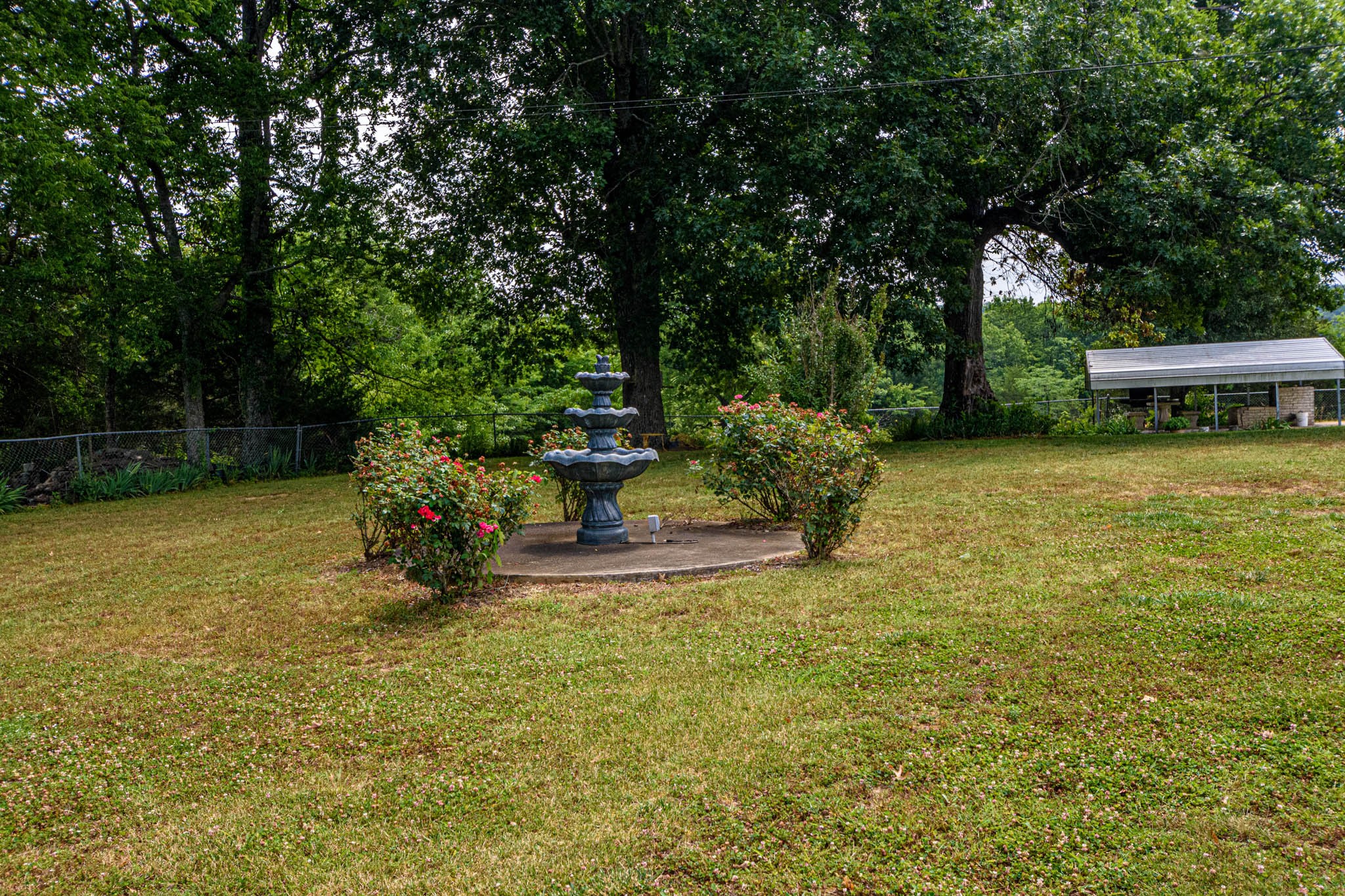 657 Prospect Road Pulaski, TN 38478 - Photo 5 of 50 a view of a garden with plants and large trees