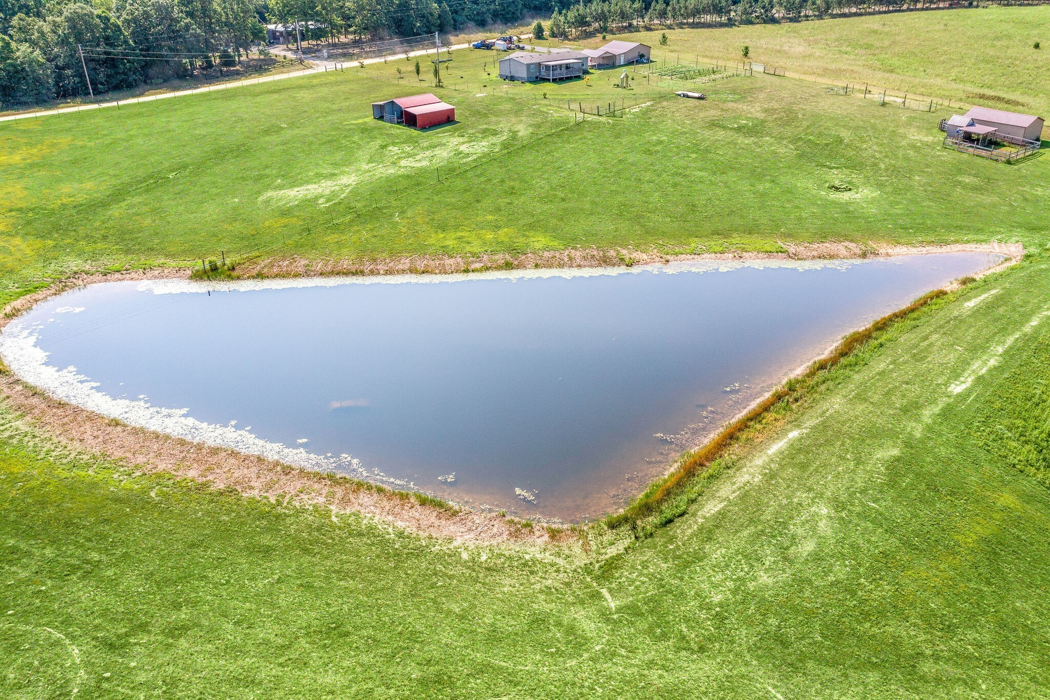 4585 West Tennessee City Road McEwen, TN 37101 - Photo 50 of 55 a view of a swimming pool with lawn chairs and plants