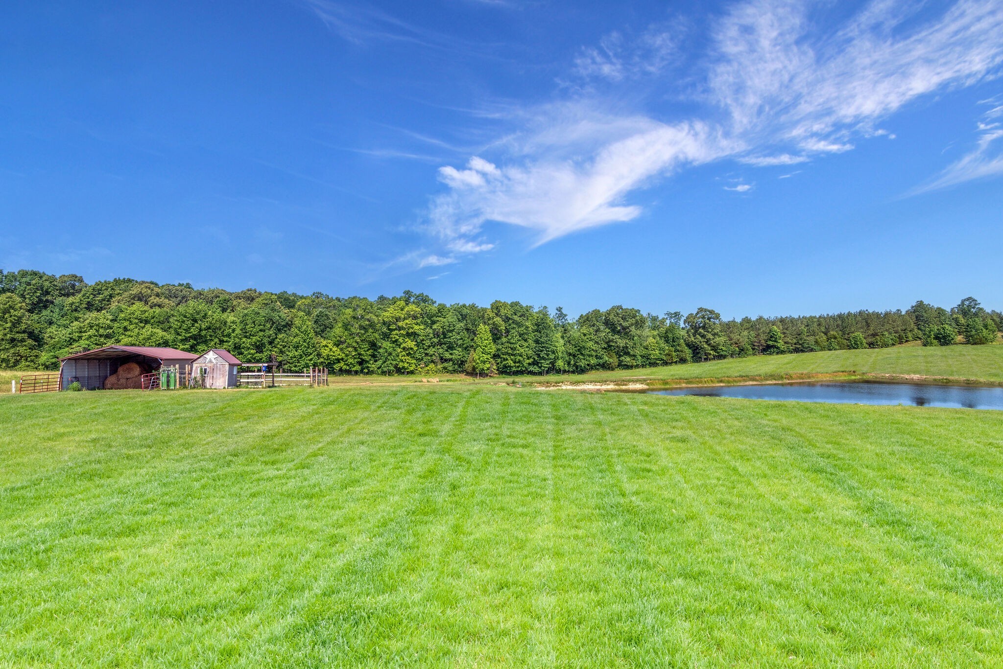 4585 West Tennessee City Road McEwen, TN 37101 - Photo 8 of 55 a view of a lake and a yard