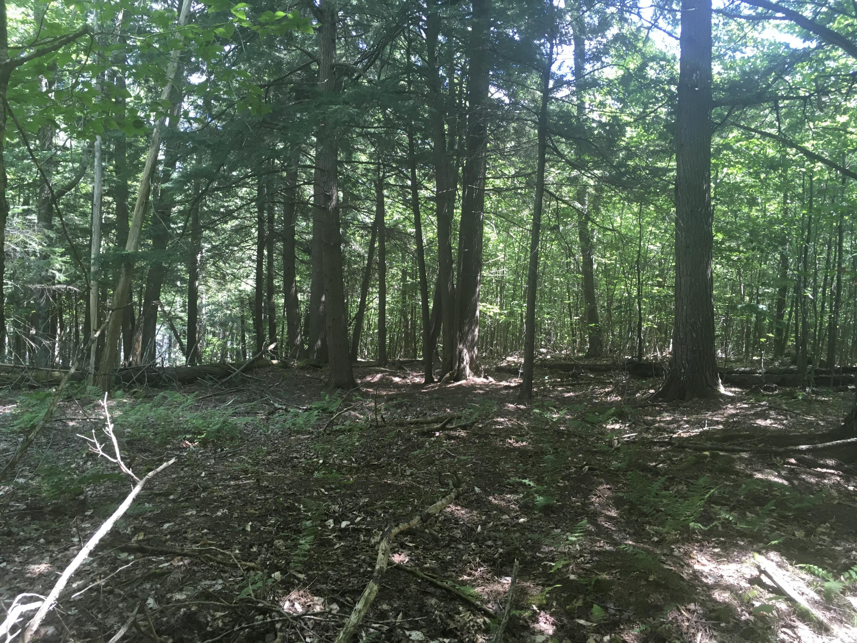 Lot # Shue Ripley, ME 04930 - Photo 8 of 9 E8B81333-26BC-4E39-8699-13192ACD4DD2