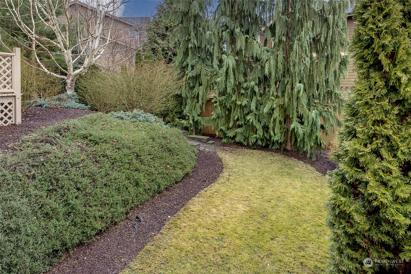 5300 Northeast 16th Street Renton, WA 98059 - Photo 34 of 38 a view of a yard with plants