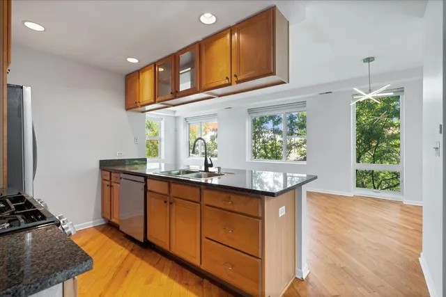 $410,000 | 2337 West Wolfram Street, Unit 415, Chicago, IL 60618