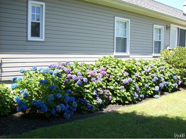 1240 Myrtle Road Walnutport, PA 18088 - Photo 46 of 48 Gallery Image 46