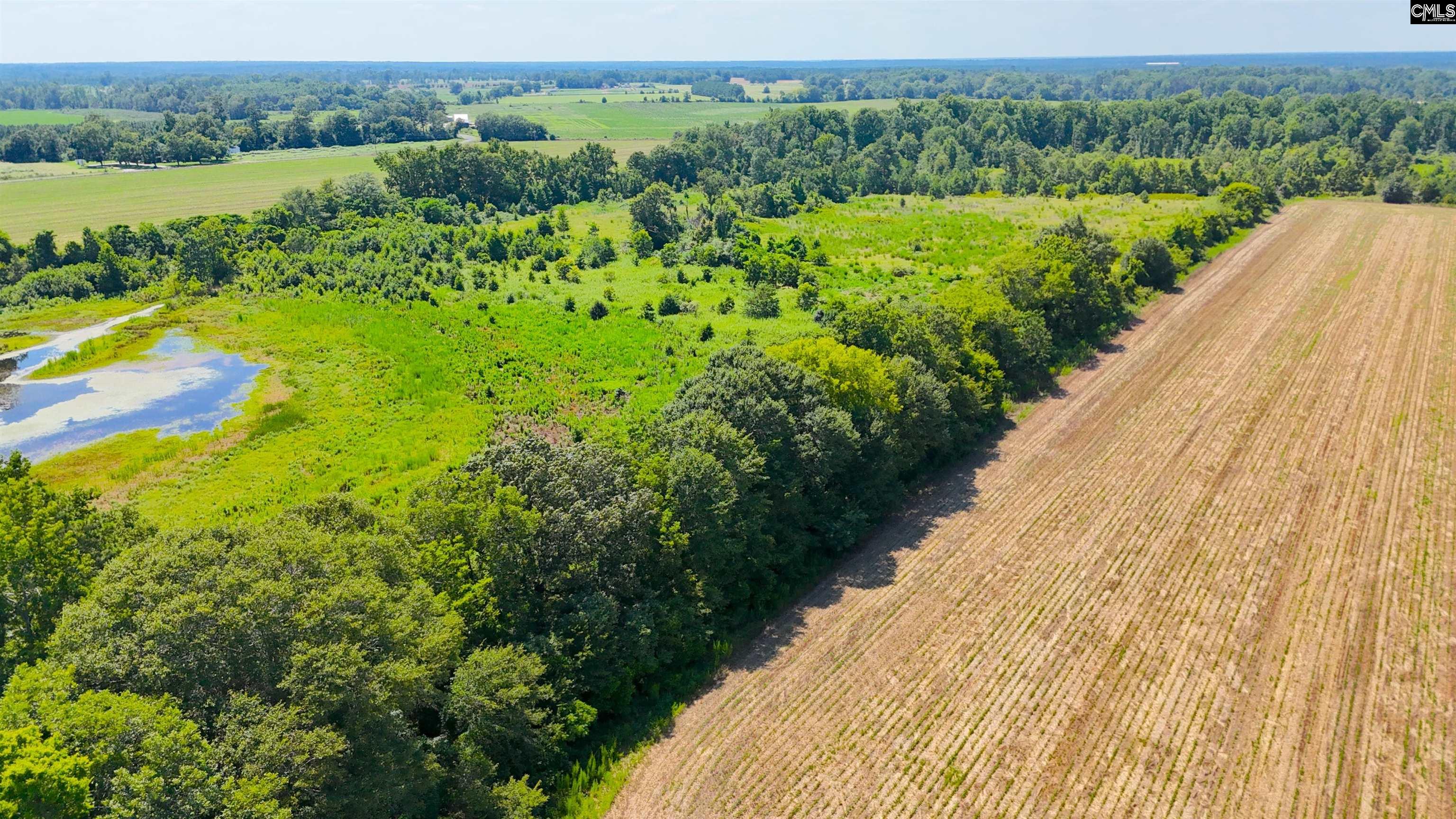0 Joes Trail Road Monetta, SC 29105 - Photo 10 of 11