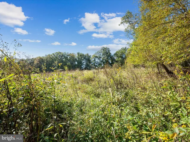 $139,900 | 0 Penny Ann Lane, Strasburg, VA 22657