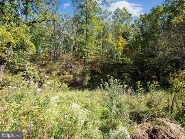 $139,900 | 0 Penny Ann Lane, Strasburg, VA 22657