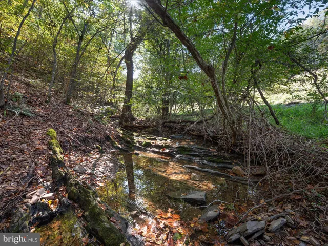 $139,900 | 0 Penny Ann Lane, Strasburg, VA 22657