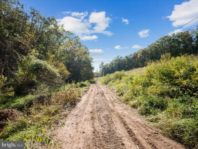 $139,900 | 0 Penny Ann Lane, Strasburg, VA 22657