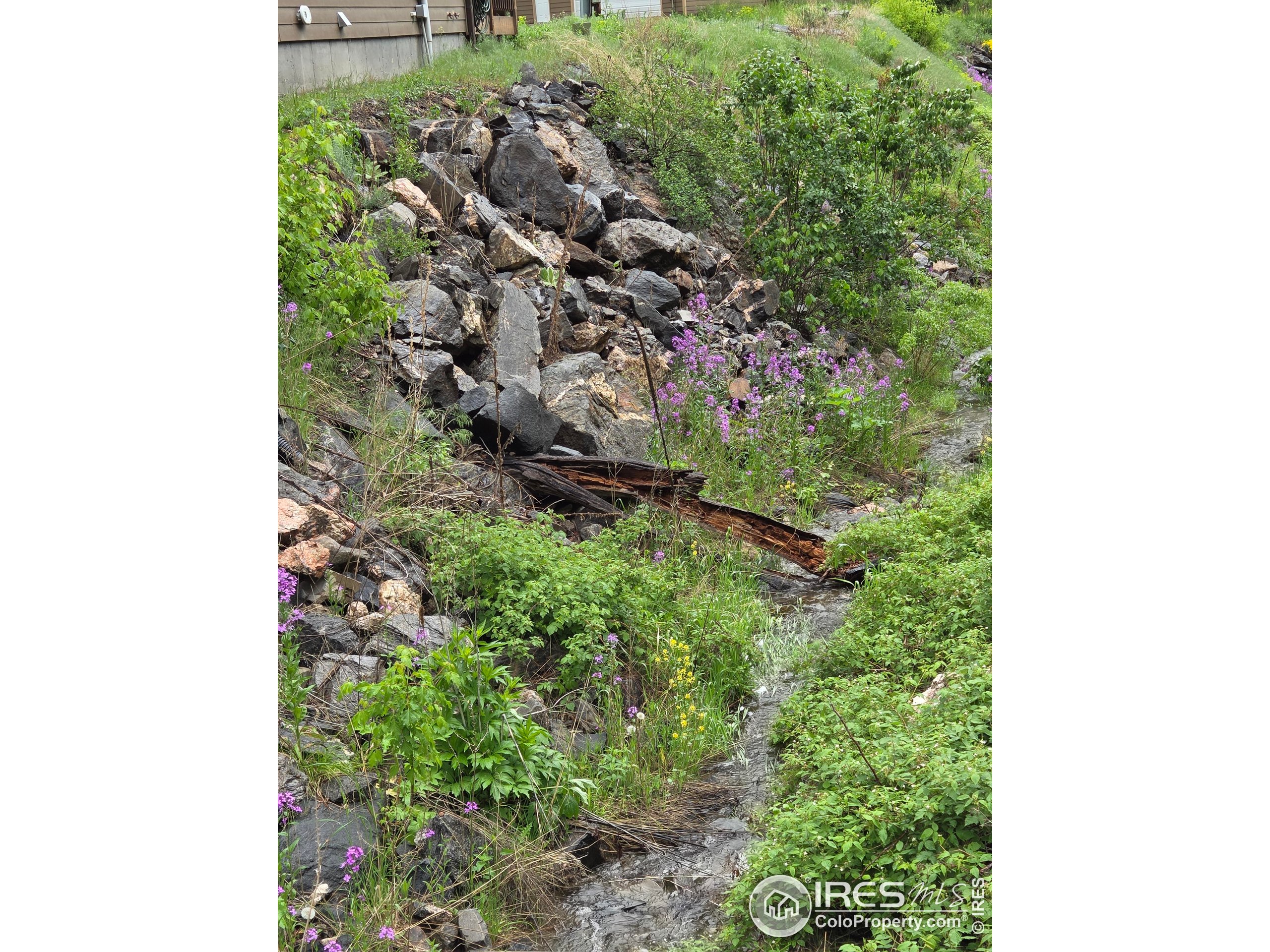 223 Kings Canyon Road Bellvue, CO 80512 - Photo 30 of 38