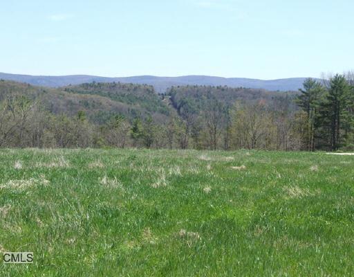 Lot 2 Wells Hill Road Lakeville, CT 06039 - Photo 1 of 1 a view of a mountain in the distance in a field