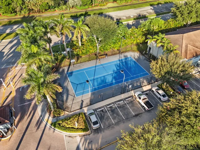 a view of a yard and palm trees