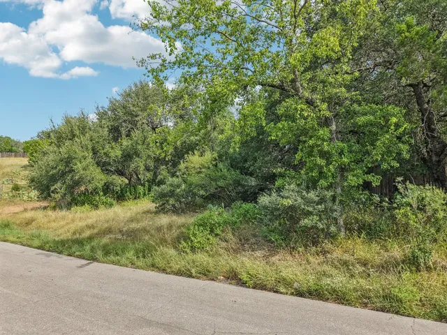 a view of a garden with a tree
