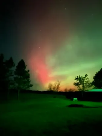 $294,900 | 29533 505th Avenue, Henning, MN 56551