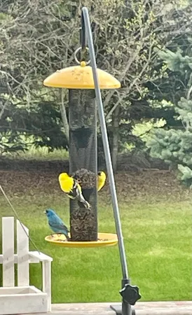 $294,900 | 29533 505th Avenue, Henning, MN 56551