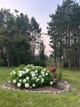 $294,900 | 29533 505th Avenue, Henning, MN 56551