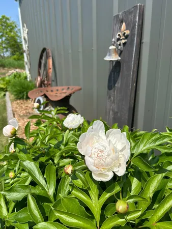 $294,900 | 29533 505th Avenue, Henning, MN 56551