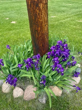 $294,900 | 29533 505th Avenue, Henning, MN 56551