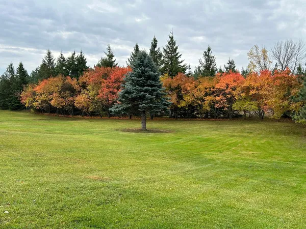 $294,900 | 29533 505th Avenue, Henning, MN 56551