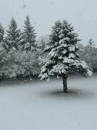 $294,900 | 29533 505th Avenue, Henning, MN 56551