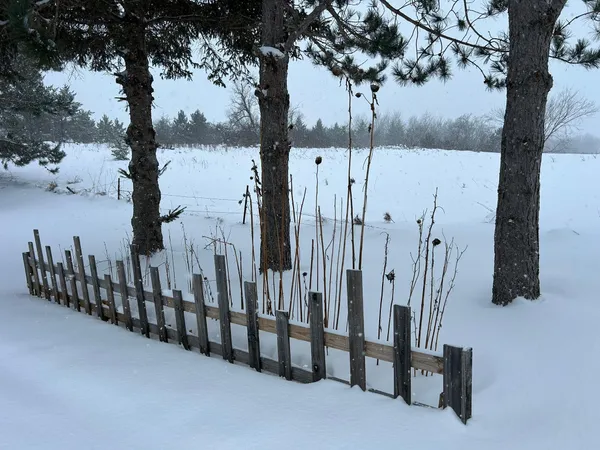 $294,900 | 29533 505th Avenue, Henning, MN 56551