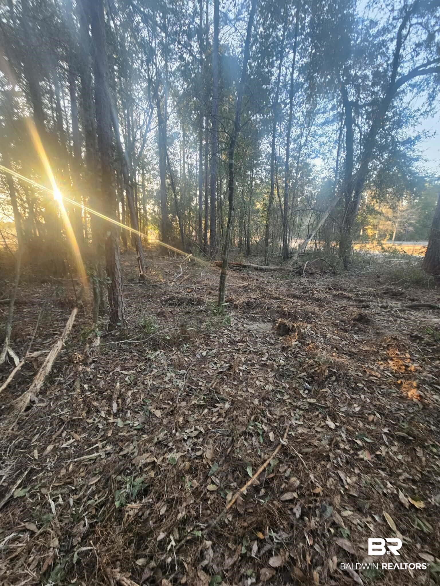 0 Gardner Road Elberta, AL 36530 - Photo 8 of 9