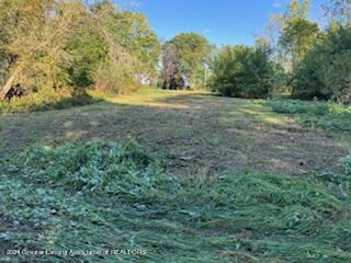 265 North Aurelius Road Mason, MI 48854 - Photo 1 of 21 IMG_6958