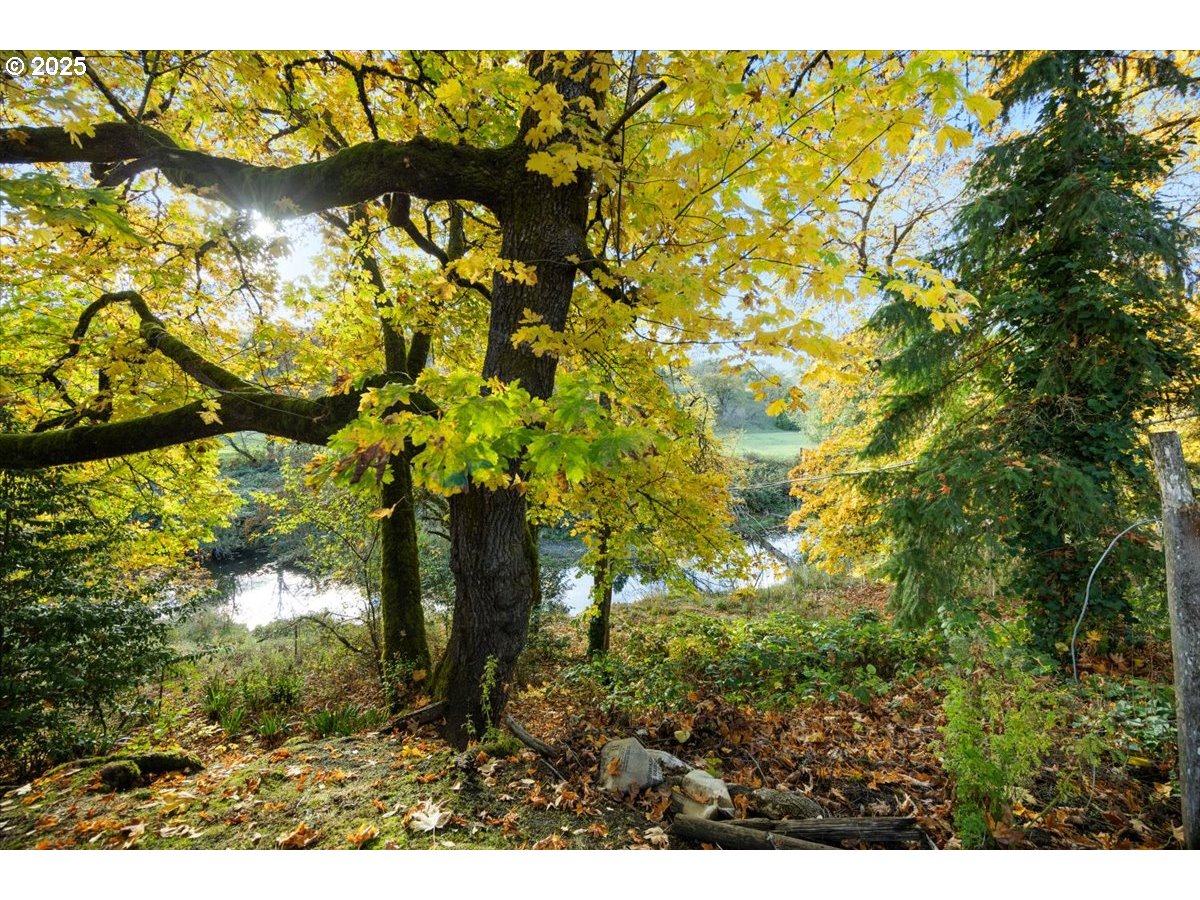 939 Buckhorn Road Roseburg, OR 97470 - Photo 27 of 35 a backyard of a house with lots of green space