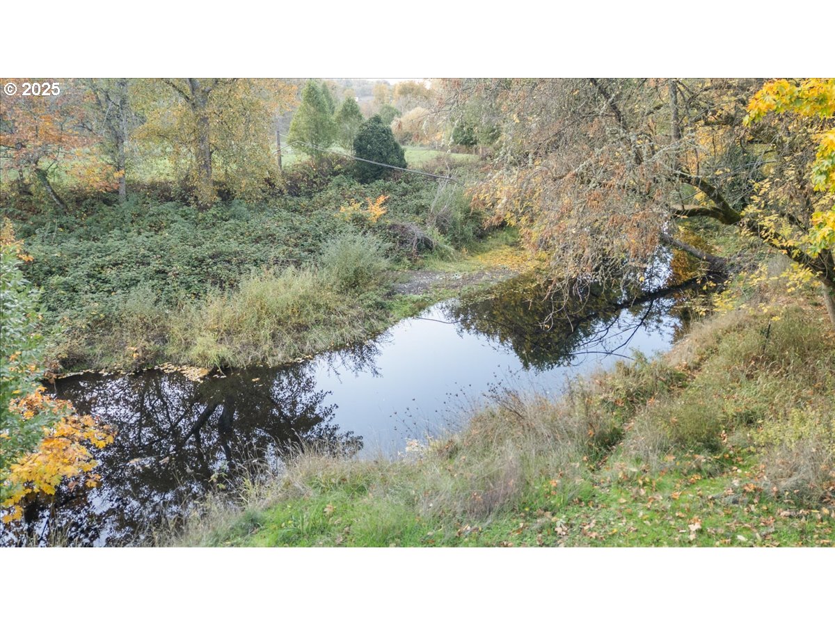 939 Buckhorn Road Roseburg, OR 97470 - Photo 29 of 35 a black and white photo of a lake