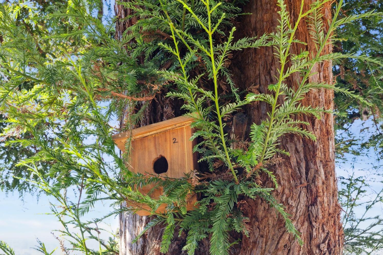 2 Aztec Street San Francisco, CA 94110 - Photo 54 of 68