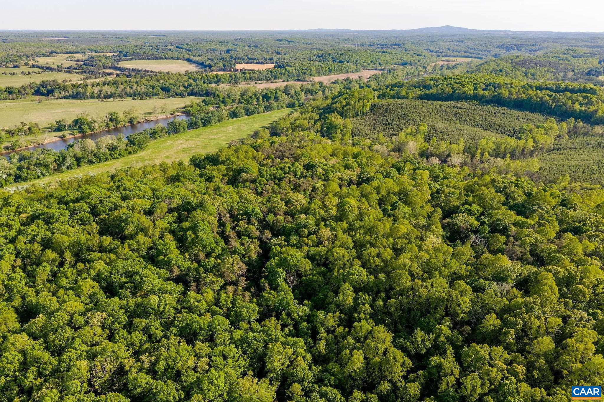 137-acres James River Road Esmont, VA 22937 - Photo 19 of 31