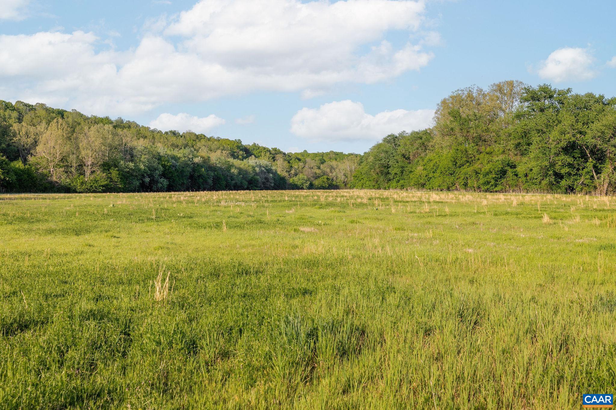 137-acres James River Road Esmont, VA 22937 - Photo 27 of 31