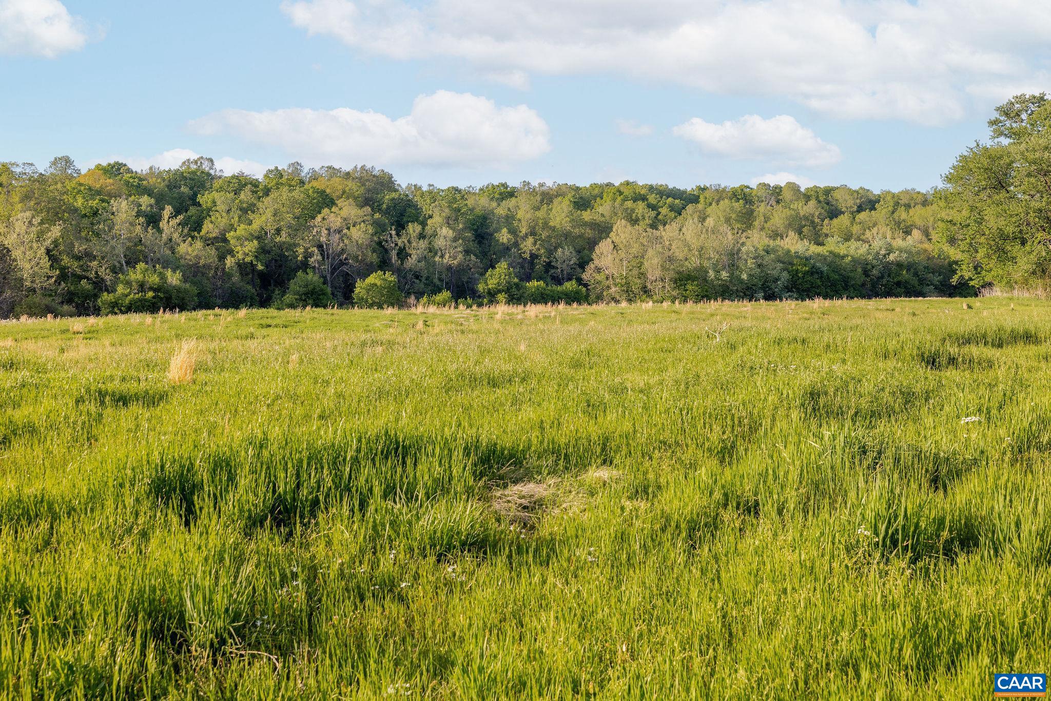 137-acres James River Road Esmont, VA 22937 - Photo 28 of 31