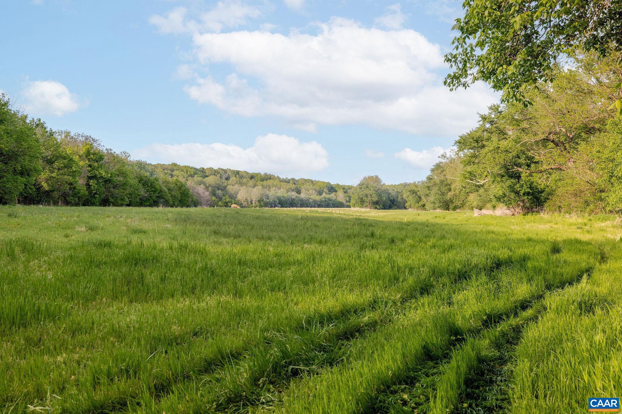137-acres James River Road Esmont, VA 22937 - Photo 6 of 31