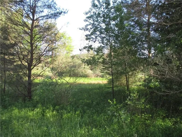 $45,000 | Lot 1 State Route 80, Georgetown, NY 13072