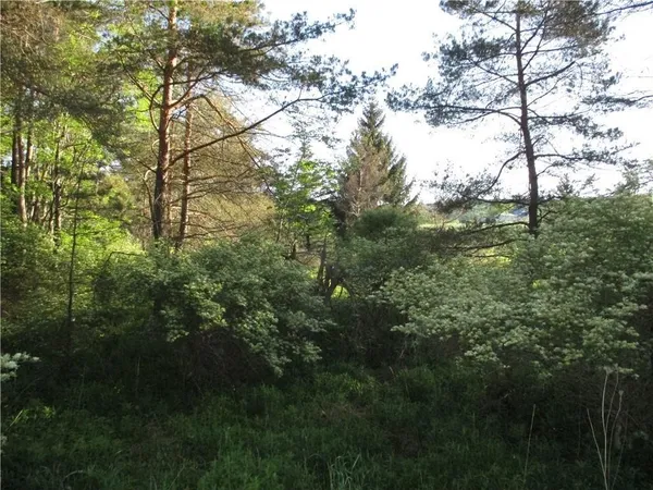 $45,000 | Lot 1 State Route 80, Georgetown, NY 13072