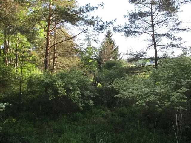 $45,000 | Lot 1 State Route 80, Georgetown, NY 13072