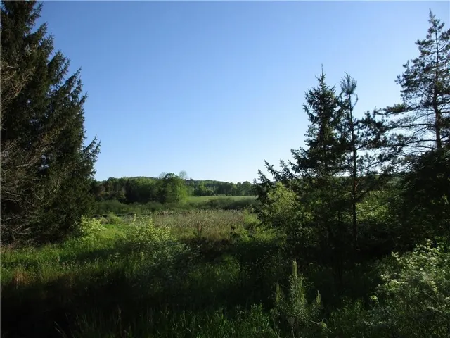 $45,000 | Lot 1 State Route 80, Georgetown, NY 13072