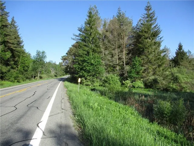 $45,000 | Lot 1 State Route 80, Georgetown, NY 13072